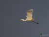 Filename=778_fotowilga.JPG
Filesize=163KB
Dimensions=700x525
Date added=Dec 09, 2019 778_fotowilga.JPG