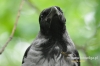 Filename=779_fotowilga~4.JPG
Filesize=81KB
Dimensions=640x427
Date added=Dec 03, 2015 779_fotowilga~4.JPG