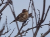 Filename=785_fotowilga~7.JPG
Filesize=218KB
Dimensions=700x525
Date added=May 26, 2019 785_fotowilga~7.JPG