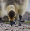 Filename=785_fotowilga~9.JPG
Filesize=311KB
Dimensions=677x700
Date added=Nov 14, 2019 785_fotowilga~9.JPG