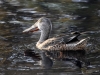 Filename=810_fotowilga~3.JPG
Filesize=333KB
Dimensions=700x525
Date added=Jan 12, 2019 810_fotowilga~3.JPG