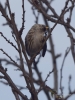 Filename=812_fotowilga~3.JPG
Filesize=228KB
Dimensions=525x700
Date added=May 26, 2019 812_fotowilga~3.JPG