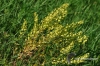 Filename=814_fotowilga.JPG
Filesize=171KB
Dimensions=720x480
Date added=Aug 13, 2012 814_fotowilga.JPG