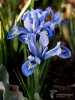 Filename=816_fotowilga~3.JPG
Filesize=258KB
Dimensions=525x700
Date added=Feb 02, 2020 816_fotowilga~3.JPG