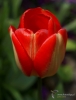 Filename=819_fotowilga~4.JPG
Filesize=192KB
Dimensions=535x700
Date added=May 28, 2017 819_fotowilga~4.JPG