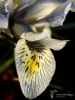 Filename=819_fotowilga~5.JPG
Filesize=210KB
Dimensions=525x700
Date added=Feb 04, 2020 819_fotowilga~5.JPG