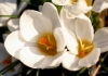 Filename=834_fotowilga~7.JPG
Filesize=207KB
Dimensions=700x494
Date added=Feb 02, 2020 834_fotowilga~7.JPG