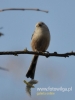 Filename=837_fotowilga~2.JPG
Filesize=59KB
Dimensions=360x480
Date added=Jan 30, 2016 837_fotowilga~2.JPG