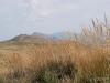 Filename=838_fotowilga~2.JPG
Filesize=371KB
Dimensions=700x525
Date added=Sep 15, 2019 838_fotowilga~2.JPG