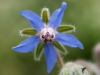 Filename=839_fotowilga~5.JPG
Filesize=206KB
Dimensions=700x525
Date added=Oct 23, 2018 839_fotowilga~5.JPG