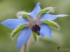 Filename=842_fotowilga~4.JPG
Filesize=216KB
Dimensions=700x525
Date added=Oct 24, 2018 842_fotowilga~4.JPG