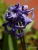 Filename=848_fotowilga~6.JPG
Filesize=221KB
Dimensions=537x700
Date added=May 21, 2017 848_fotowilga~6.JPG