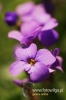 Filename=861_fotowilga.JPG
Filesize=77KB
Dimensions=360x540
Date added=Mar 04, 2013 861_fotowilga.JPG