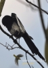 Filename=892_fotowilga~0.JPG
Filesize=74KB
Dimensions=343x480
Date added=Dec 29, 2014 892_fotowilga~0.JPG
