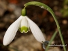 Filename=896_fotowilga~0.JPG
Filesize=85KB
Dimensions=640x480
Date added=Feb 24, 2017 896_fotowilga~0.JPG