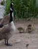 Filename=930_fotowilga~1.JPG
Filesize=338KB
Dimensions=544x700
Date added=Nov 11, 2019 930_fotowilga~1.JPG