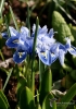 Filename=939_fotowilga~1.JPG
Filesize=274KB
Dimensions=495x700
Date added=Aug 14, 2019 939_fotowilga~1.JPG