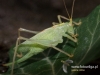 Filename=948_fotowilga.JPG
Filesize=93KB
Dimensions=640x480
Date added=Nov 22, 2017 948_fotowilga.JPG