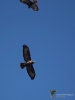 Filename=975_fotowilga.JPG
Filesize=187KB
Dimensions=525x700
Date added=May 19, 2019 975_fotowilga.JPG
