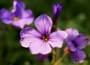 Filename=978_fotowilga.JPG
Filesize=224KB
Dimensions=700x509
Date added=May 14, 2020 978_fotowilga.JPG