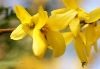 Filename=996_fotowilga~0.JPG
Filesize=209KB
Dimensions=700x488
Date added=Feb 02, 2020 996_fotowilga~0.JPG